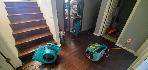 Best 24/7 water damage repair  in Gman, IL