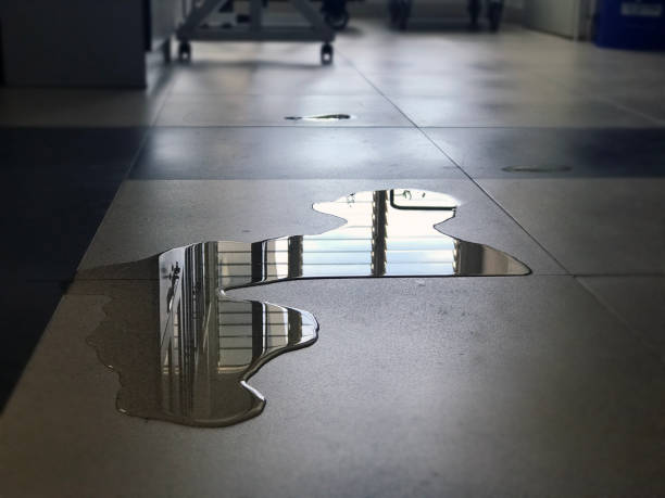 Best Commercial water damage restoration  in Gman, IL